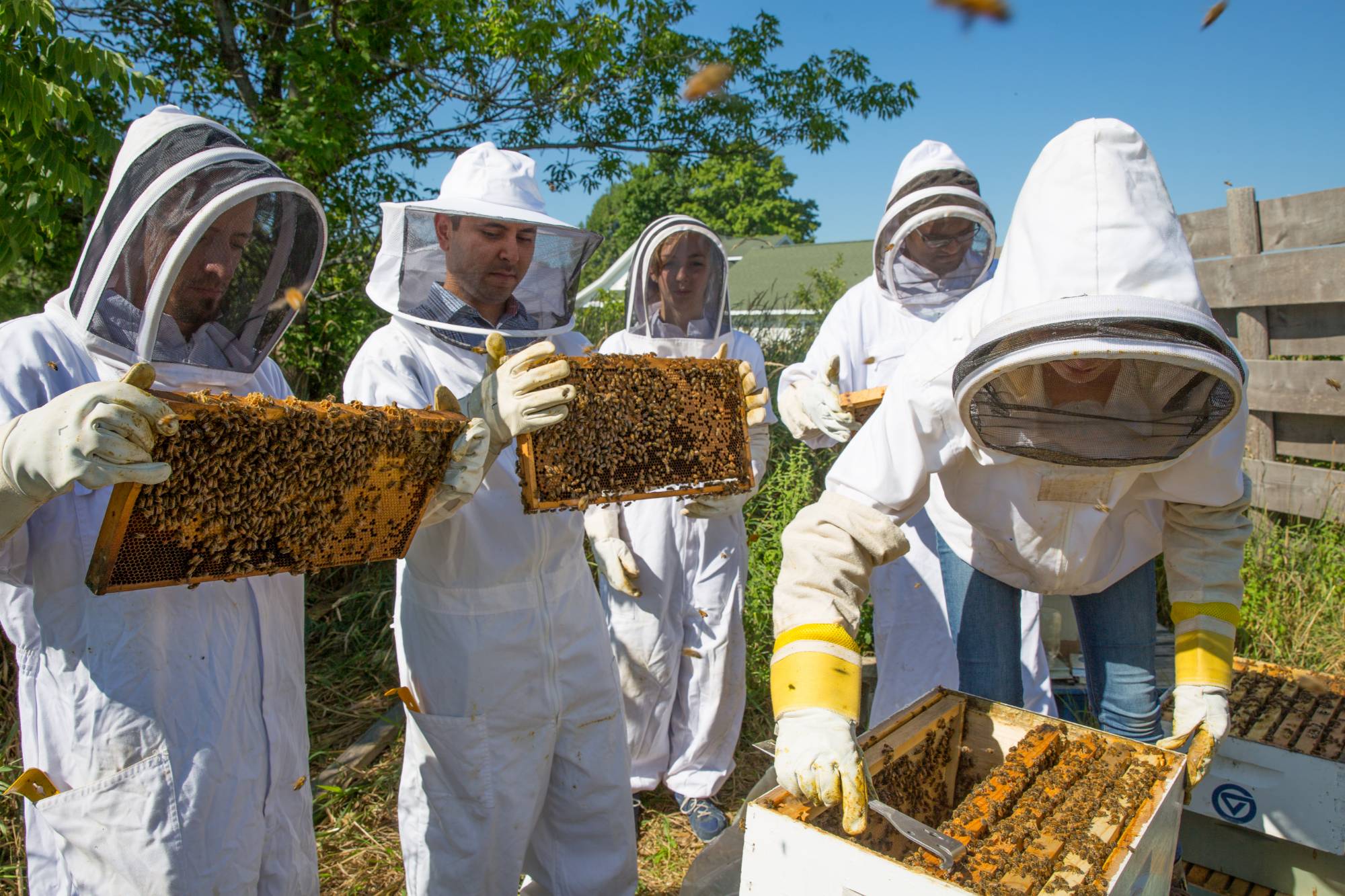 Beekeepers Sustainable Agriculture Project Grand Valley State